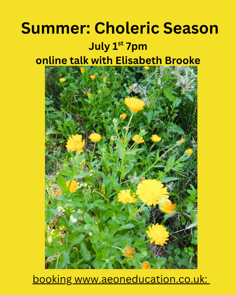 A vibrant poster featuring yellow flowers against a bright yellow background, announcing an online talk titled 'Summer: Choleric Season' with details about the date and time.